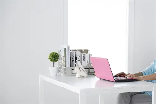 救助法律条款是什么