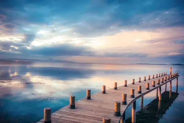 教育法律反映了什么