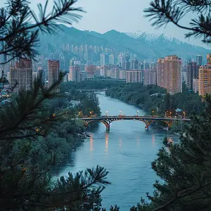 法律的魅力分享是什么