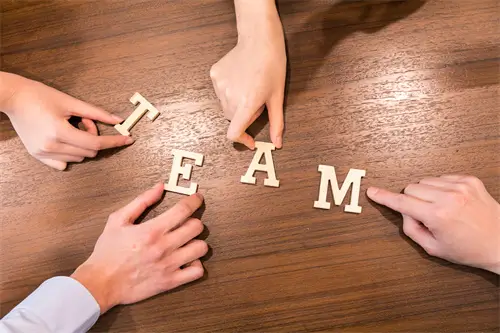 鸠字的笔顺怎么写，正确写法详解