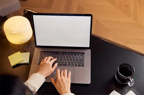 什么是法律的至上性