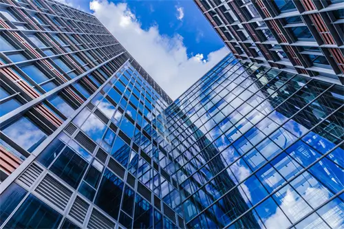 有什么动物象征法律